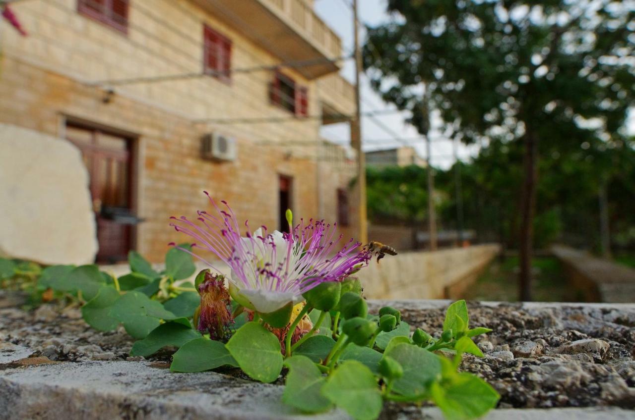 Large And Charming Apartment Near Beach With Big & Sunny Terrace Sumartin Exterior foto